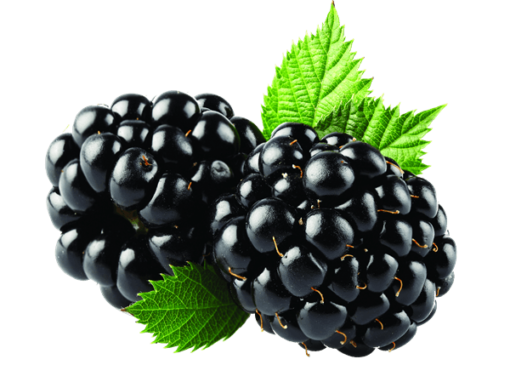 Black Berries