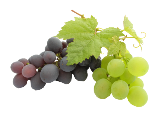 Grapes