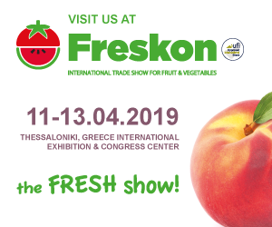 Visit Symphonia Team at FRESKON